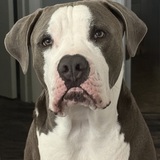 Entry image for Cooper