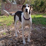 Entry image for Doom