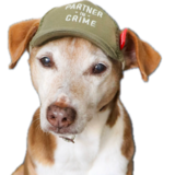 Entry image for Toffee