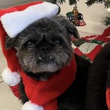 Entry image for Sarah