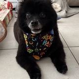 Entry image for Mia Rose