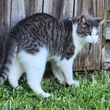 Entry image for Sebastian 