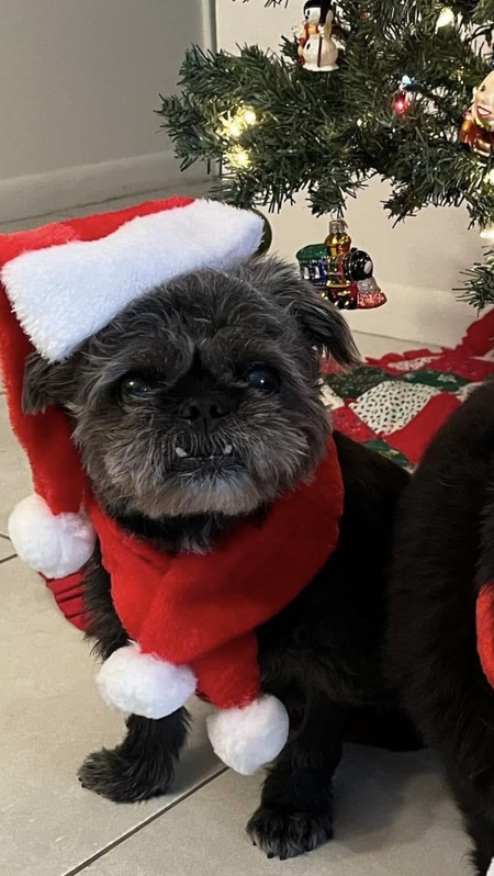 Entry image for Sarah. Clicking this image will show a larger photo