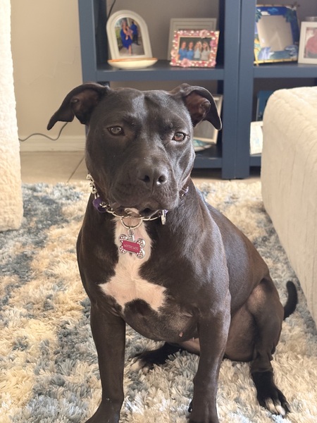 Entry image for Lottie. Clicking this image will show a larger photo