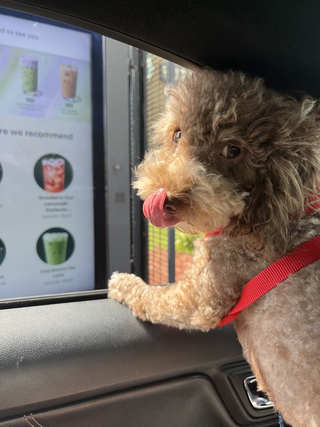 Entry image for Gibson. Clicking this image will show a larger photo