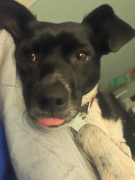 Kali's Kissy Fish Face