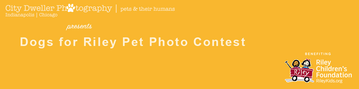 Banner for Dogs for Riley Pet Photo Contest