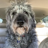 Entry image for Greg