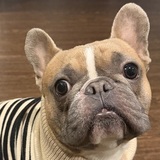 Entry image for Timmy