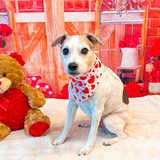 Entry image for Lewie