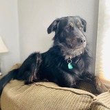 Entry image for Marshall