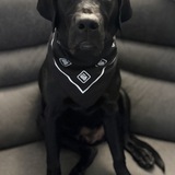 Entry image for Tank