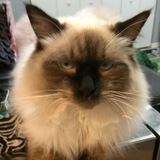 Entry image for Lump