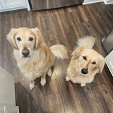 Entry image for Makena & Brittany