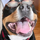 Entry image for Steve