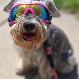 Entry image for Smokey 