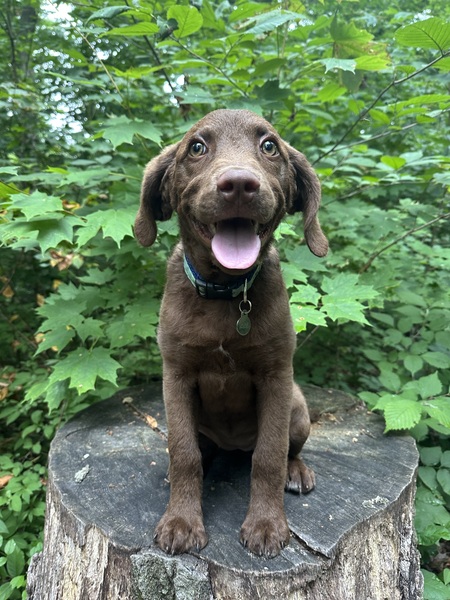 Entry image for Isla Gale. Clicking this image will show a larger photo