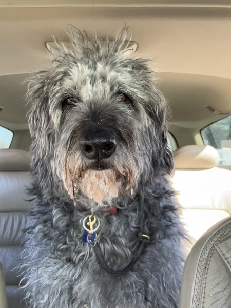 Entry image for Greg. Clicking this image will show a larger photo