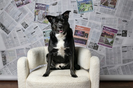 Entry image for Broly Howard . Clicking this image will show a larger photo