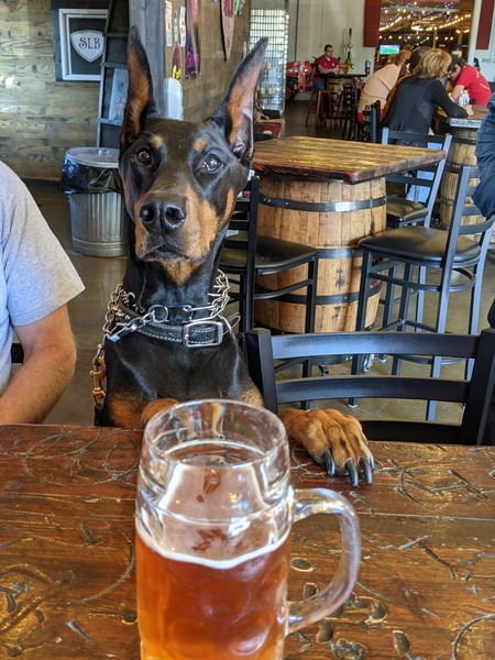 Entry image for Sebastian. Clicking this image will show a larger photo