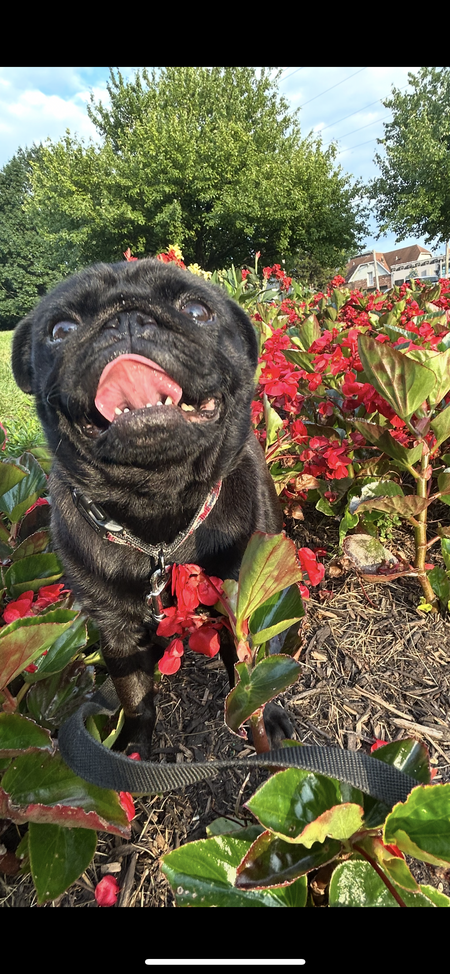 Entry image for Rome. Clicking this image will show a larger photo