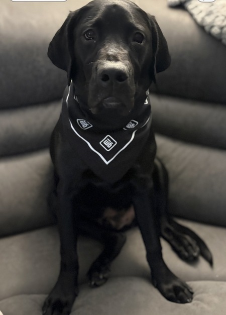 Entry image for Tank. Clicking this image will show a larger photo