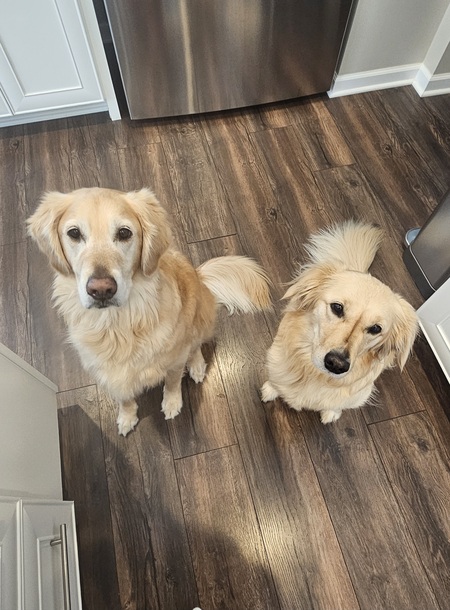 Entry image for Makena & Brittany. Clicking this image will show a larger photo