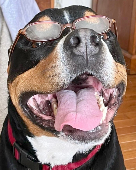 Entry image for Steve. Clicking this image will show a larger photo