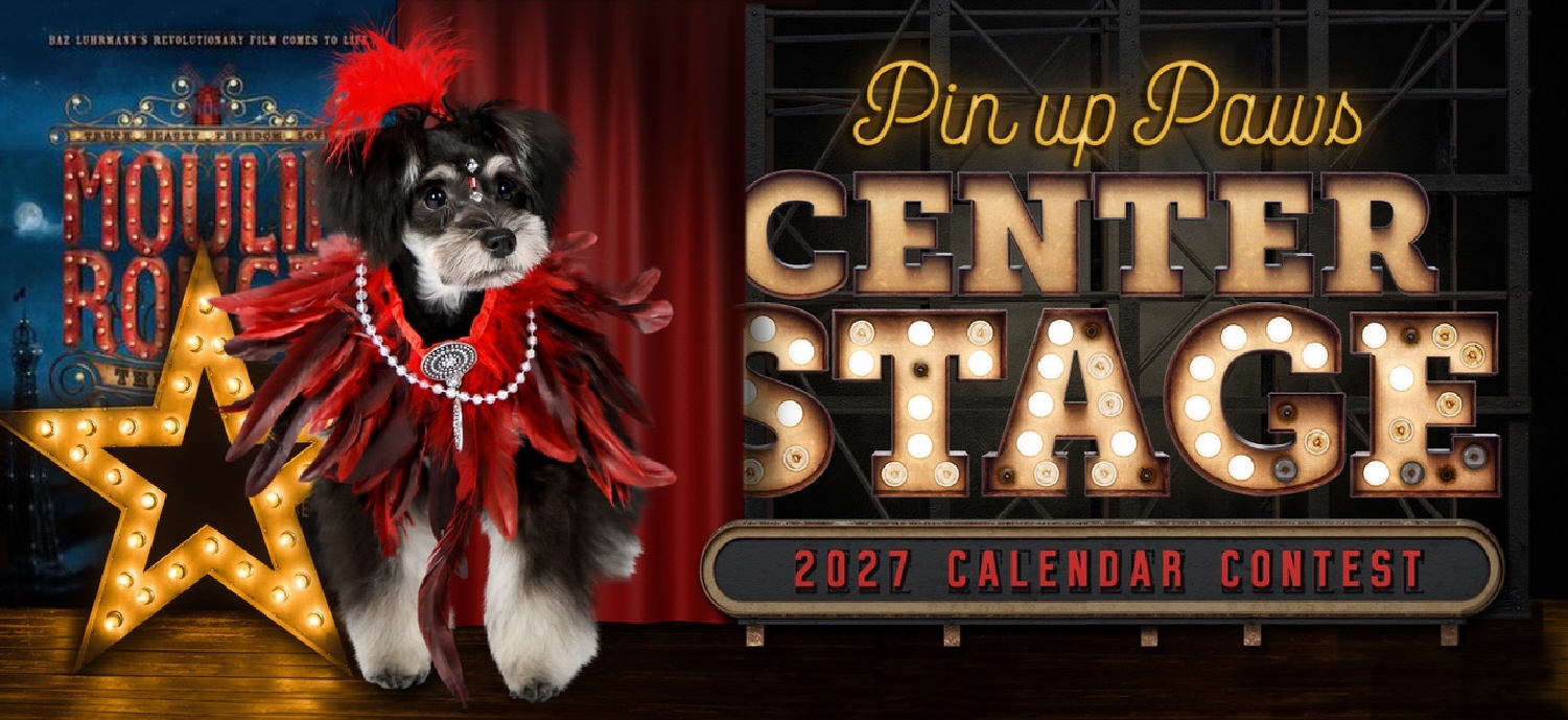 Banner for "CENTER STAGE" 2027 Pin Up Paws Calendar Contest
