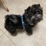 Entry image for Tucker