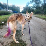 Entry image for Galaxy