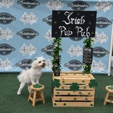 Entry image for Marlee