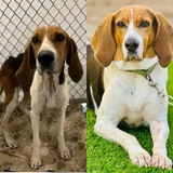 Entry image for Bella