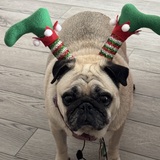 Entry image for Minnie