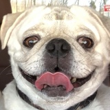 Entry image for Dallas 