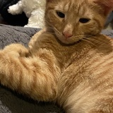 Entry image for Martha