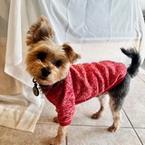 Entry image for Otis