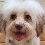 Entry image for Charley