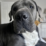 Entry image for George Michael 