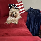 Entry image for Charlotte Mae
