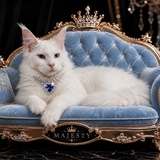 Entry image for Majesty