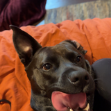 Entry image for Azula