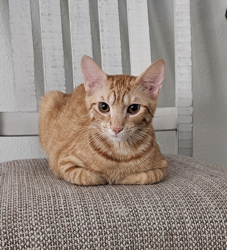 Entry image for Sunnie. Clicking this image will show a larger photo