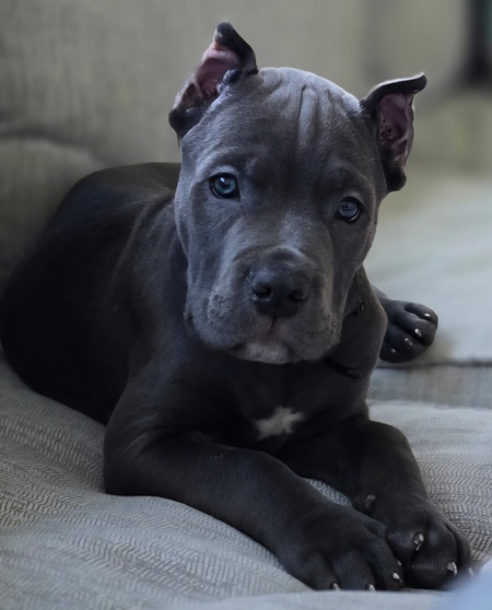 Entry image for Mars. Clicking this image will show a larger photo