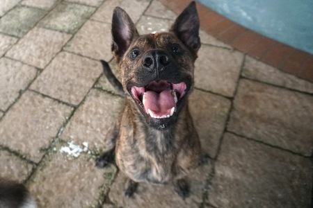 Entry image for Coda. Clicking this image will show a larger photo