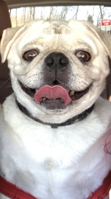 Entry image for Dallas . Clicking this image will show a larger photo