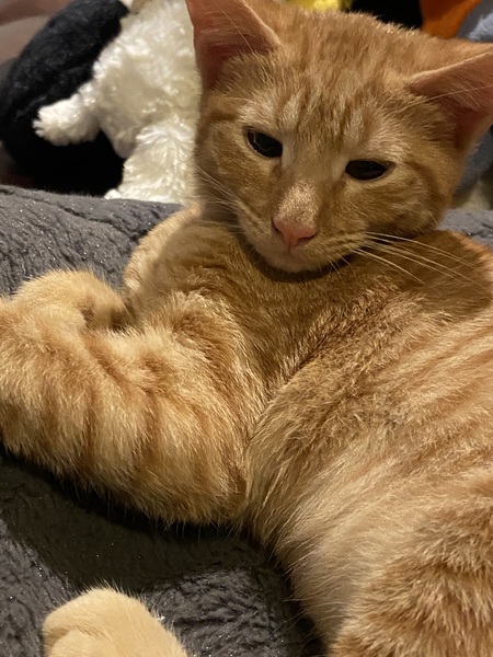 Entry image for Martha. Clicking this image will show a larger photo