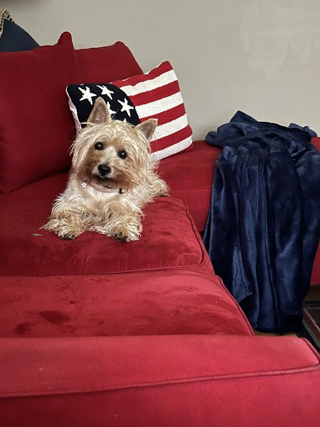 Entry image for Charlotte Mae. Clicking this image will show a larger photo