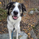 Entry image for Dakota