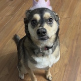 Entry image for Penny